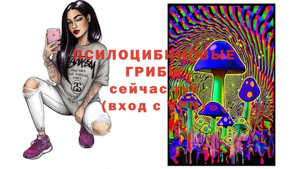 не бодяженный Верея