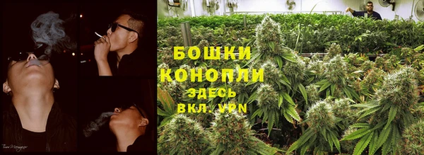 не бодяженный Верея