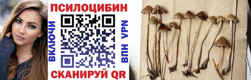 Псилоцибиновые грибы MAGIC MUSHROOMS  Славянск-на-Кубани 
